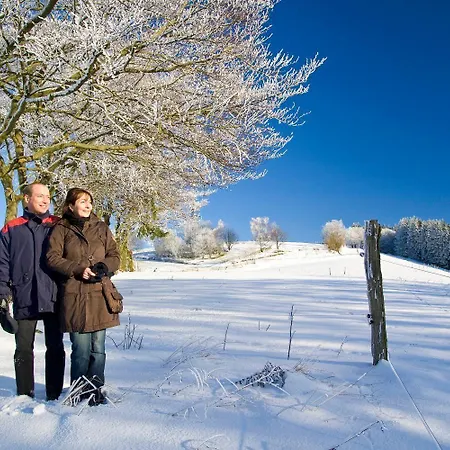 Pensionat Landgasthof Scherer Wenden (Sauerland)